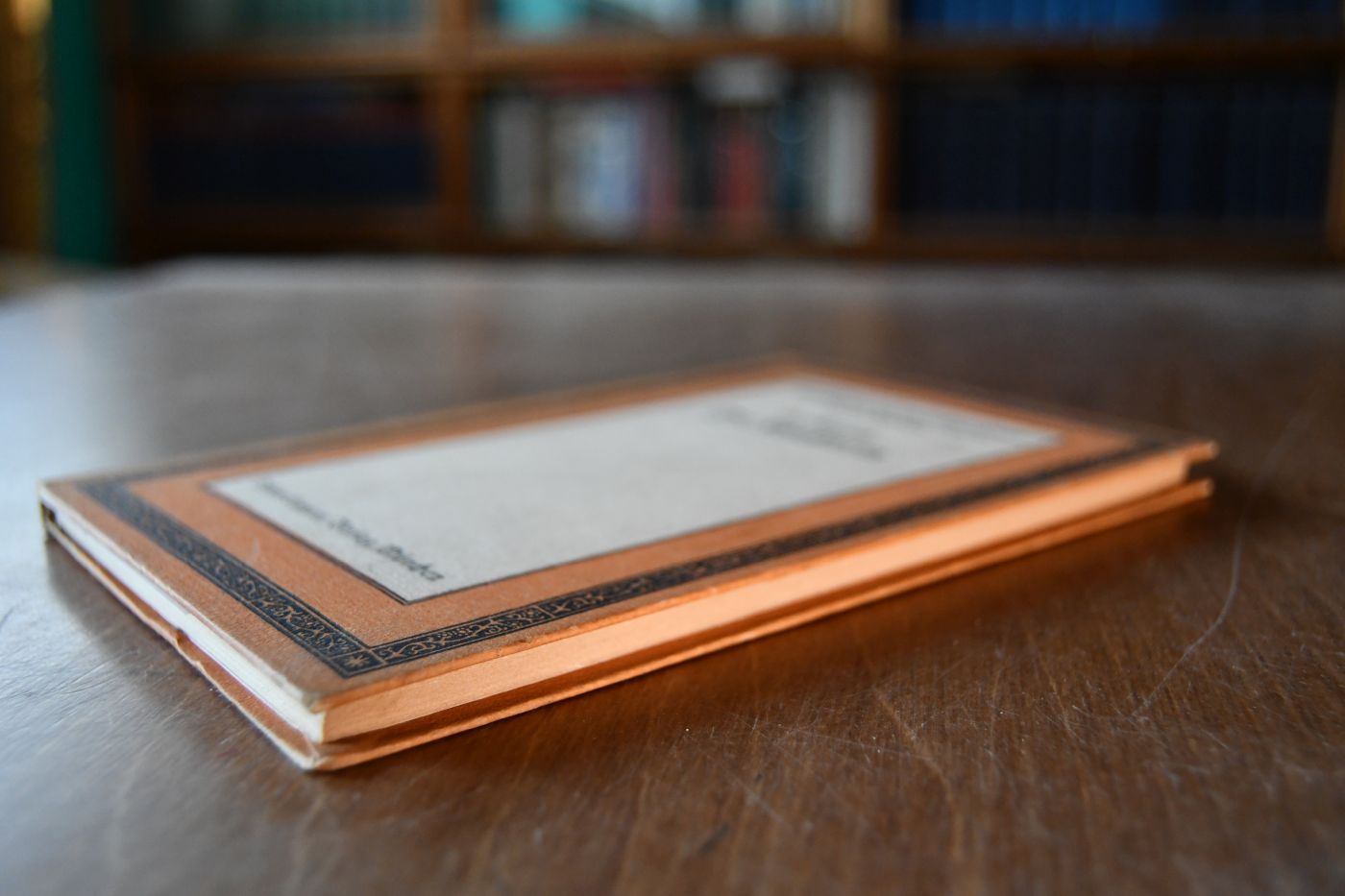 Die Künstlerin. Eine Monographie.