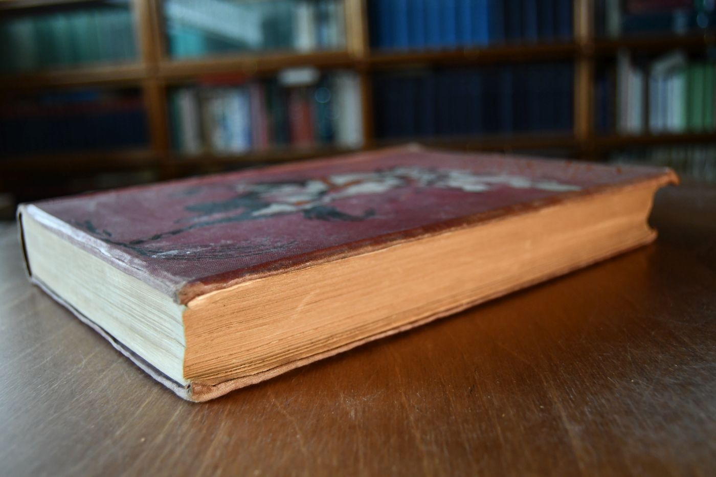The Boy`s own annual. 43th annual volume, 1920-21.