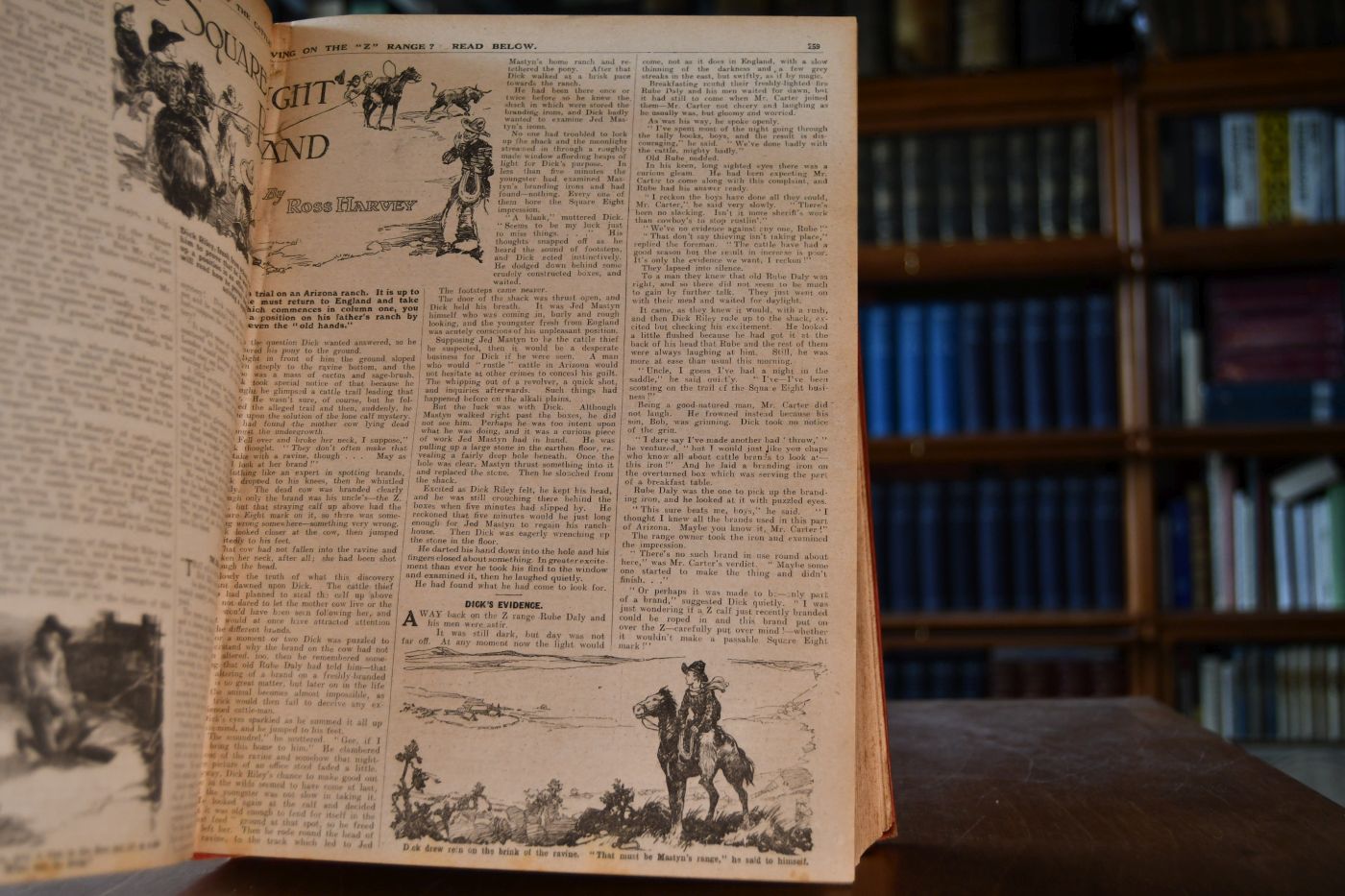 The Scout. Volume XX. 1925.