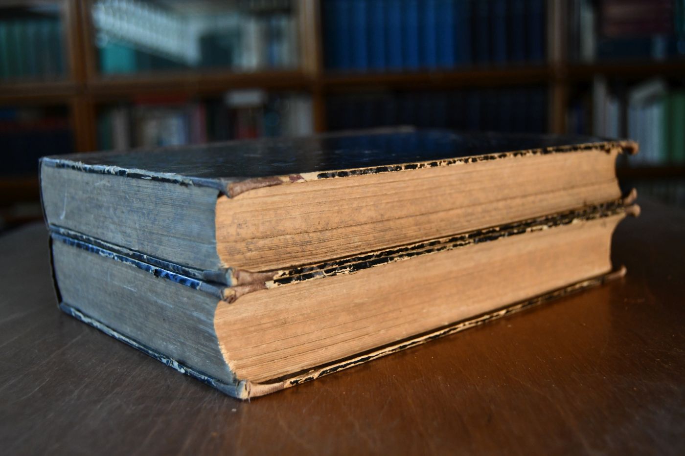 Encyklopädie der Rechtswissenschaft in systematischer und alphabetischer Bearbeitung. Erster, systematischer Teil (apart) in 2 Bänden.