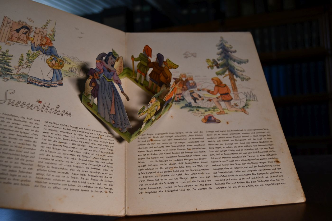 Das Märchen-Wunderbuch.