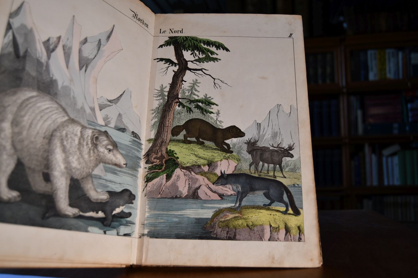 Bilder zum Anschauungs-Unterricht für die Jugend. Dritter Theil. Enthaltend Ausländische, nach geographischen Rücksichten geordnete Naturgegenstände.