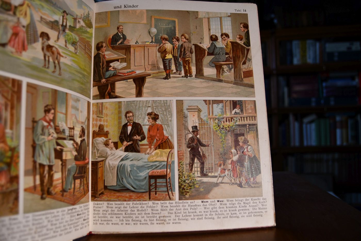 J. Staubs Bilderbuch. Anschauungsunterricht für Kinder. Ein Buch für Haus und Schule. Zweites Heft.