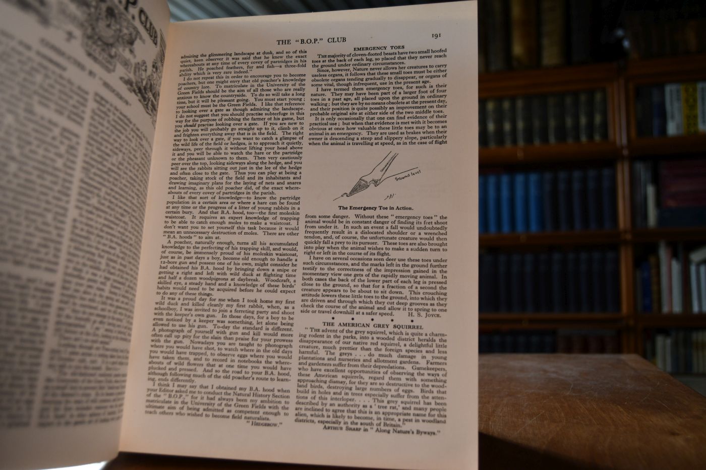 The Boy`s own annual. 54th annual volume, 1931-32.
