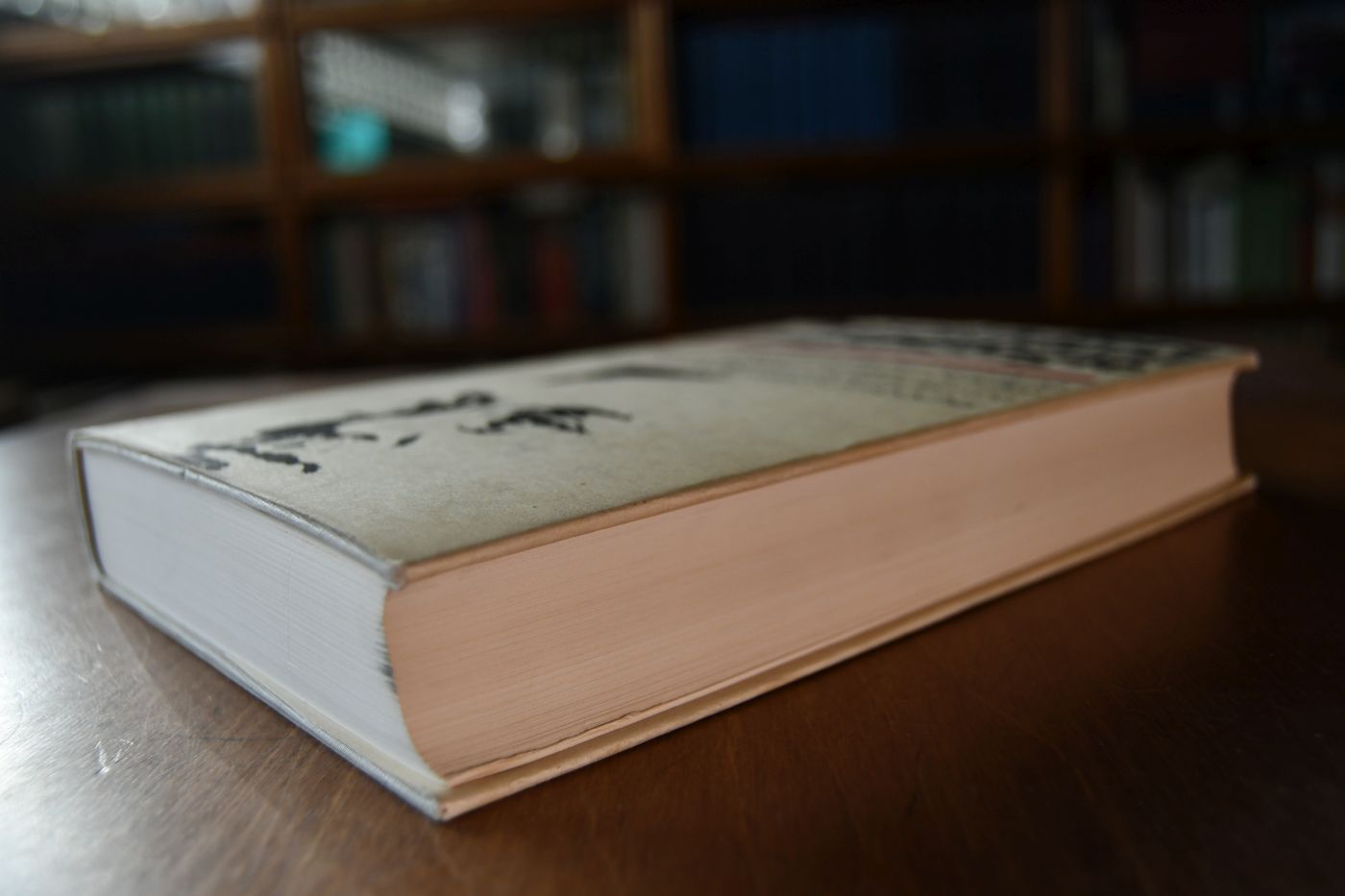 Alfred Adlers Individualpsychologie. Eine systematische Darstellung seiner Lehre in Auszügen aus seinen Schriften.
