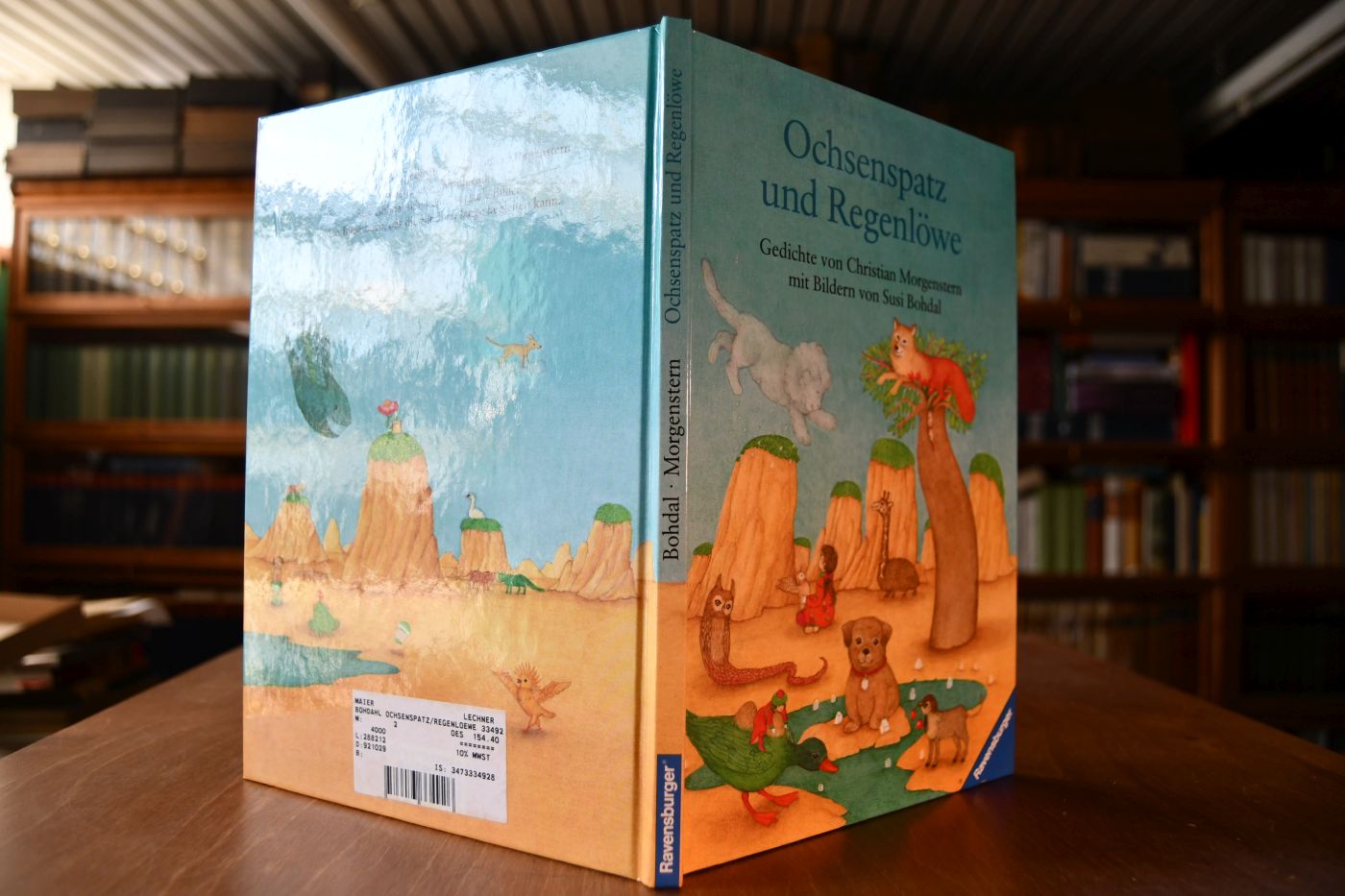 Ochsenspatz und Regenlöwe.