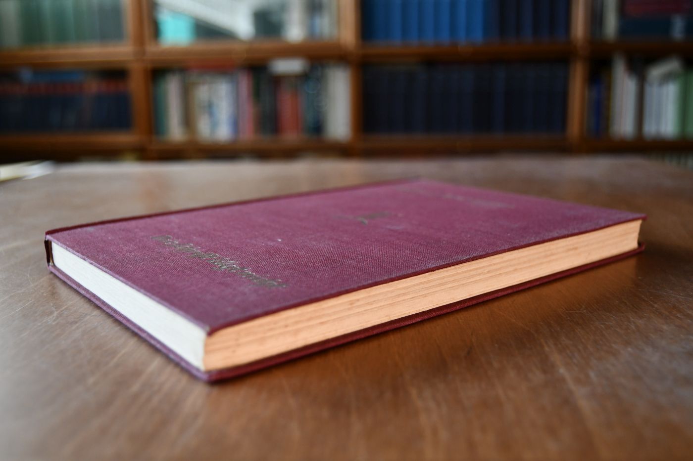 Die Schrift lügt nicht! Erlebnisse von Rafael Schermann.