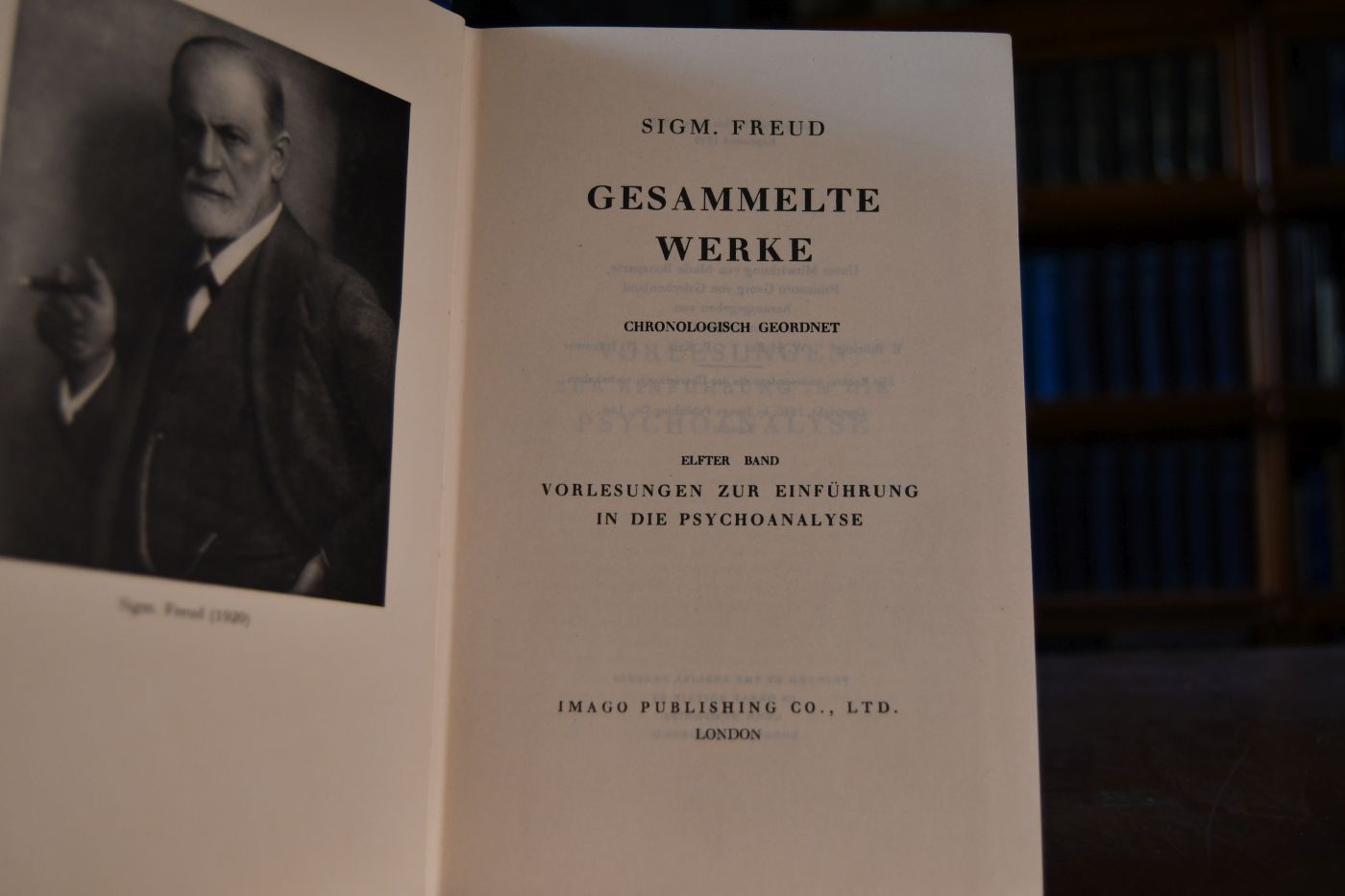 Vorlesungen zur Einführung in die Psychoanalyse.