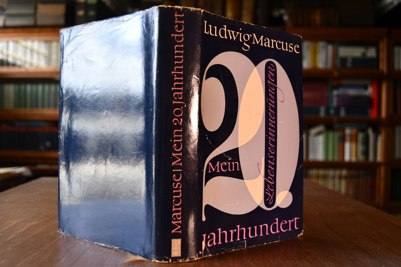 Mein zwanzigstes Jahrhundert. Auf dem Weg zu einer Autobiogtaphie.