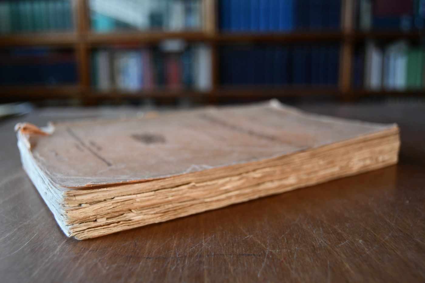 Grundriss der Soziologie.