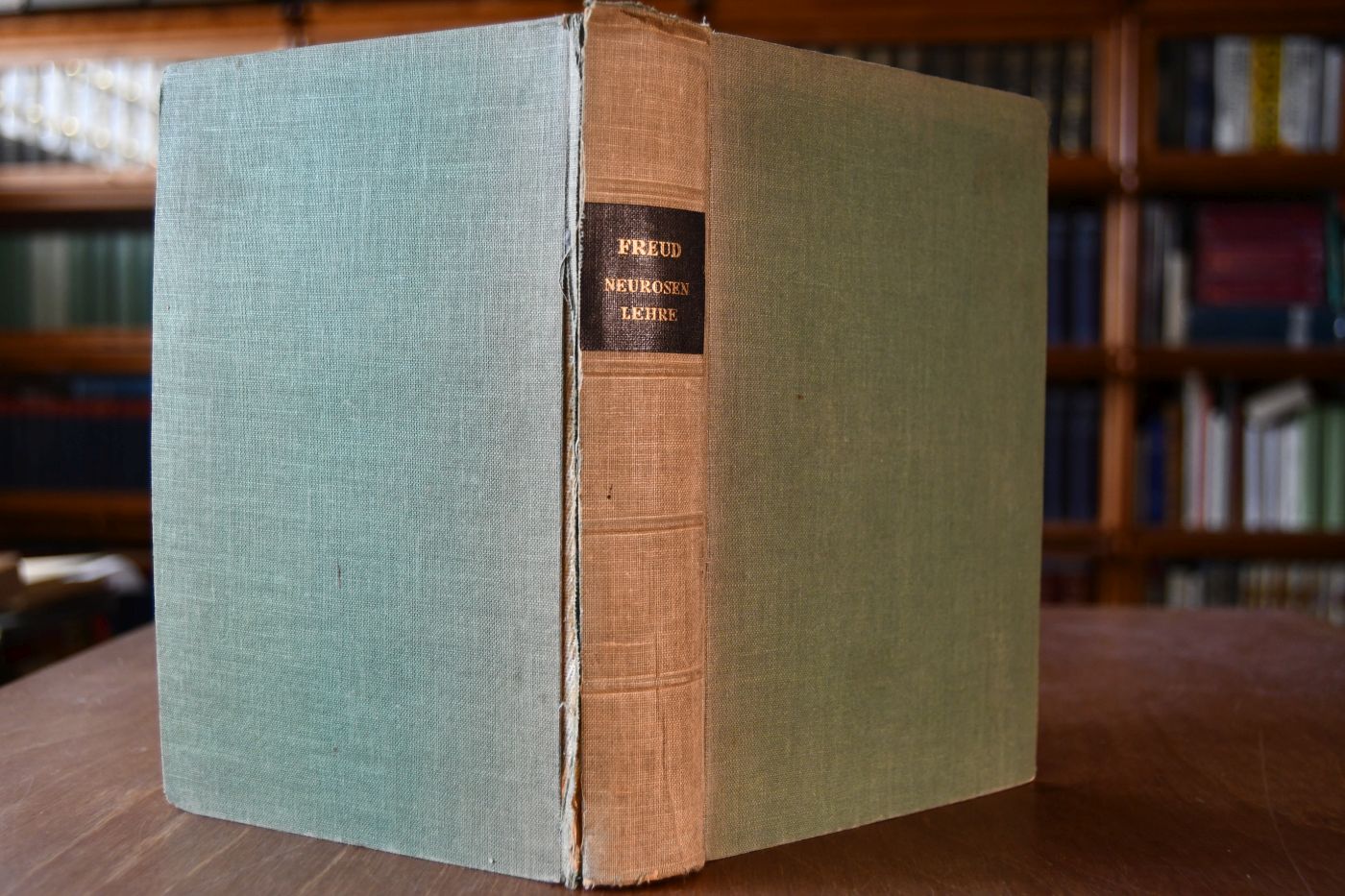 Schriften zur Neurosenlehre und zur psychoanalytischen Technik (1913-1926).