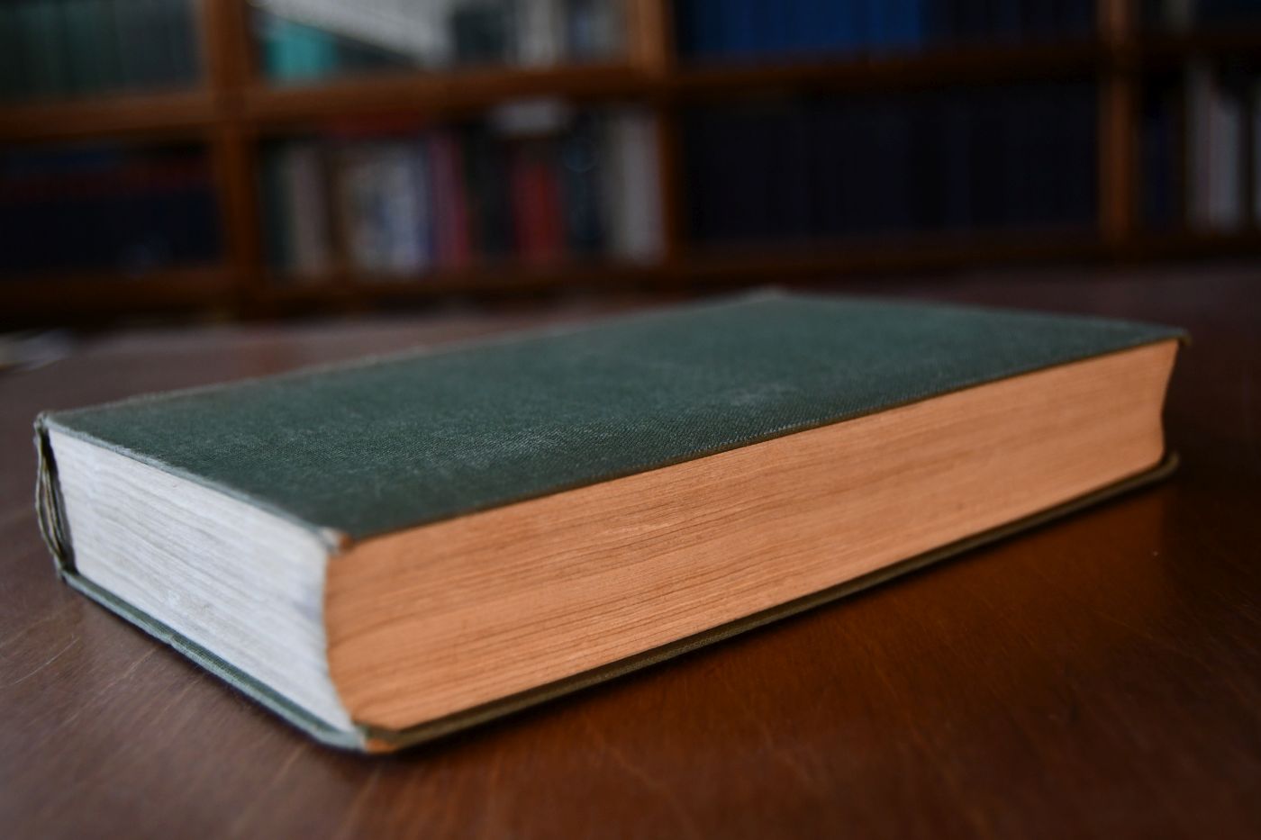 Schriften zur Neurosenlehre und zur psychoanalytischen Technik (1913-1926).