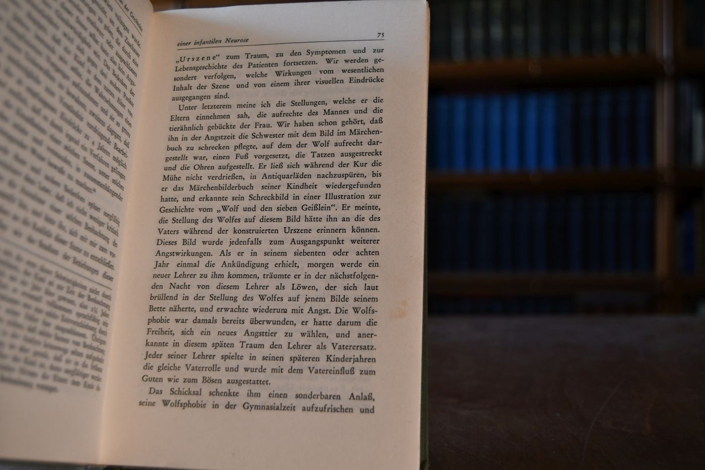 Schriften zur Neurosenlehre und zur psychoanalytischen Technik (1913-1926).