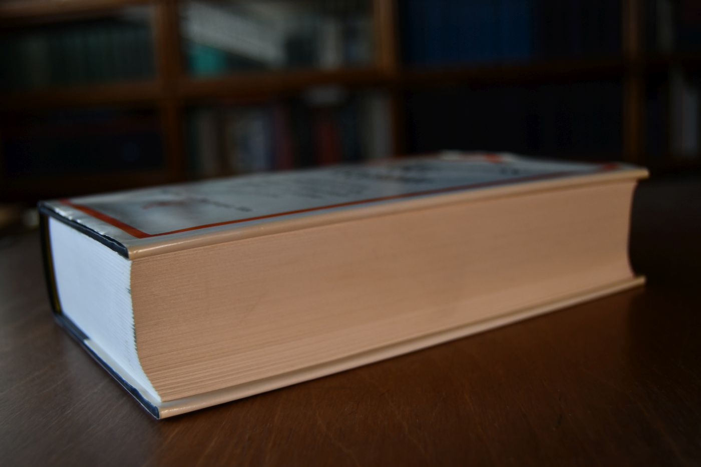 Grundriss der Medizin. Ansätze zu einer phänomenologischen Physiologie, Psychologie, Pathologie, Therapie und zu einer daseinsgemässen Präventiv-Medizin in der modernen Industrie-Gesellschaft.