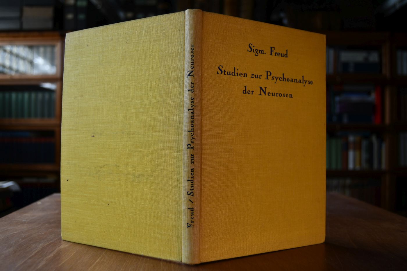Studien zur Psychoanalyse der Neurosen aus den Jahren 1913-1925.