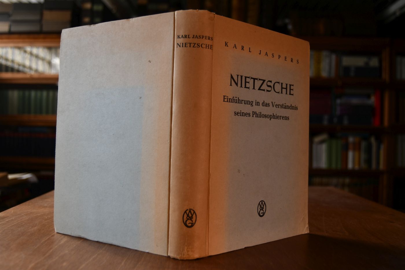 Nietzsche. Einführung in das Verständnis seines Philosophierens.