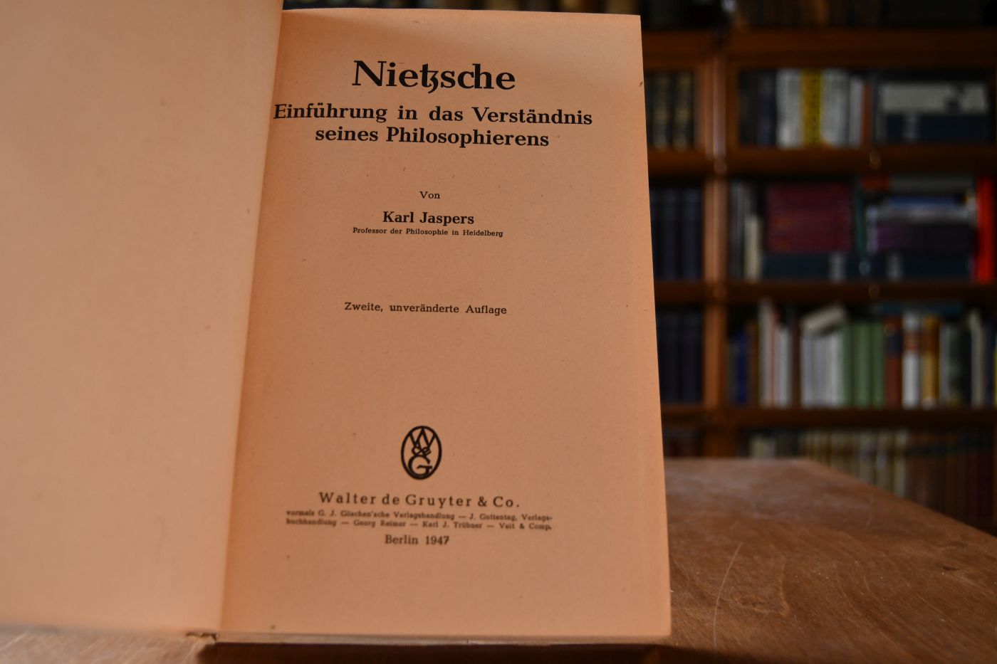 Nietzsche. Einführung in das Verständnis seines Philosophierens.