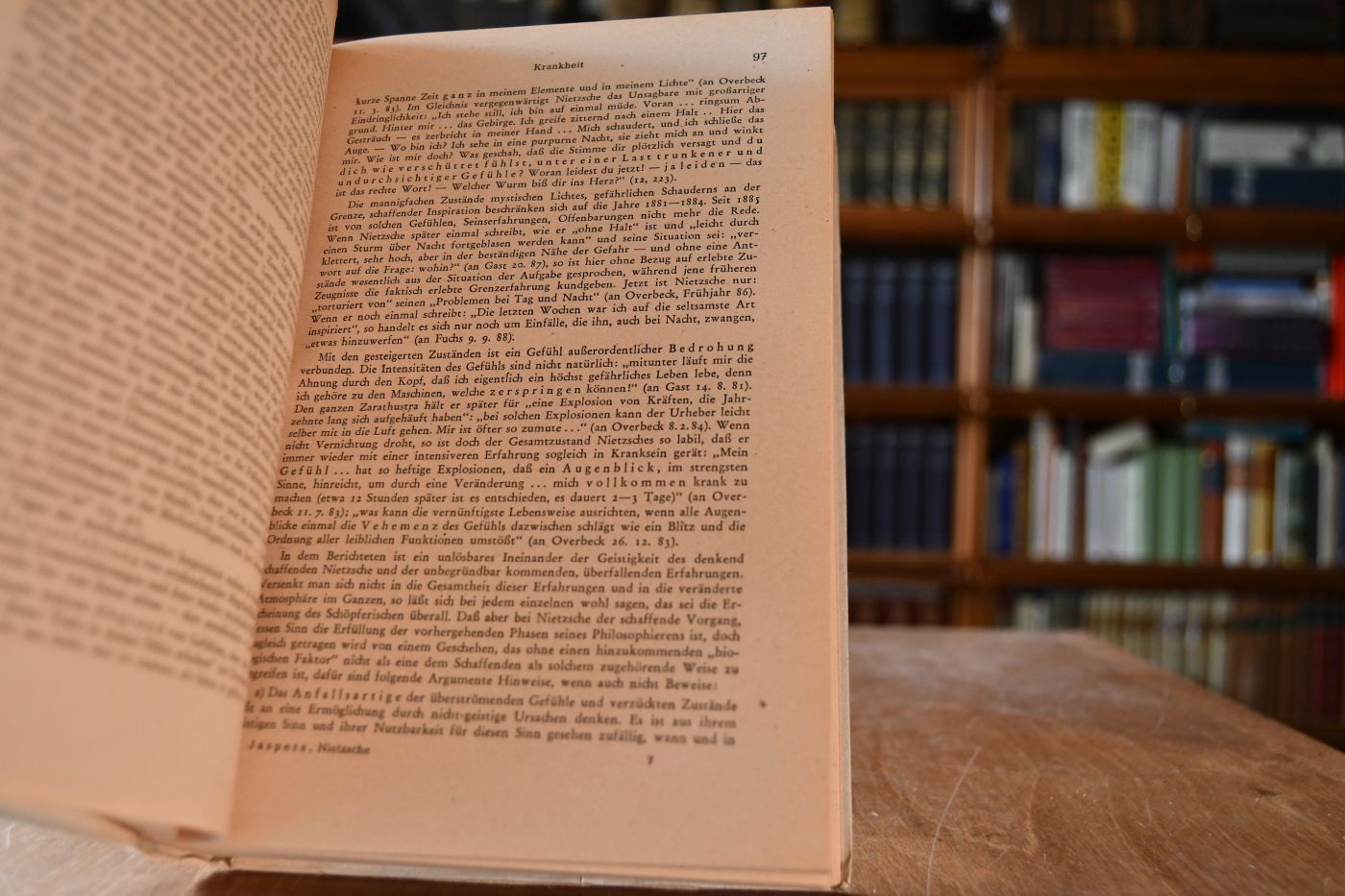Nietzsche. Einführung in das Verständnis seines Philosophierens.