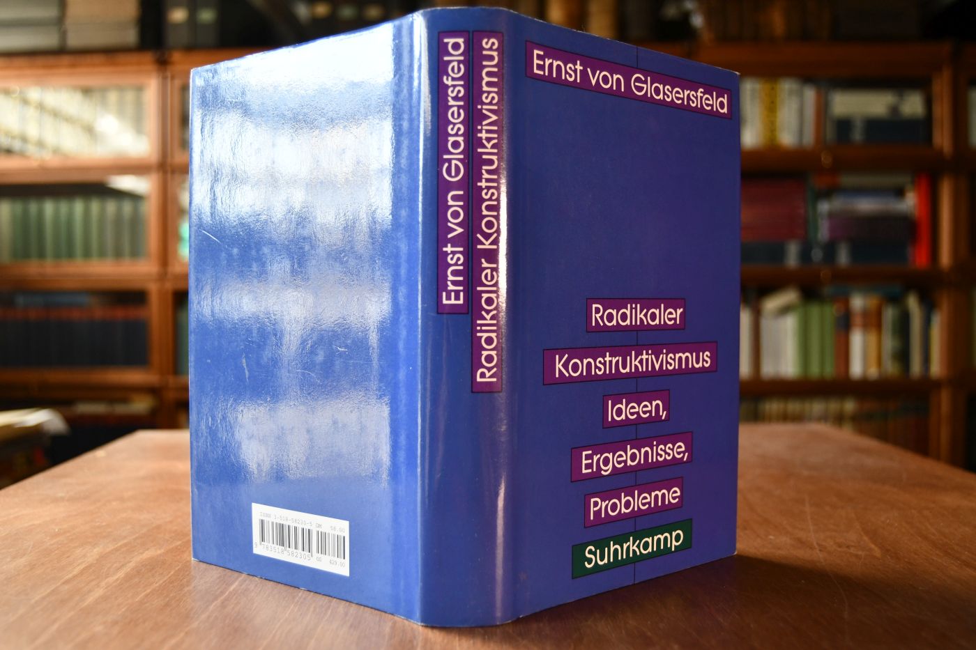 Radikaler Konstruktivismus. Ideen, Ergebnisse, Probleme.
