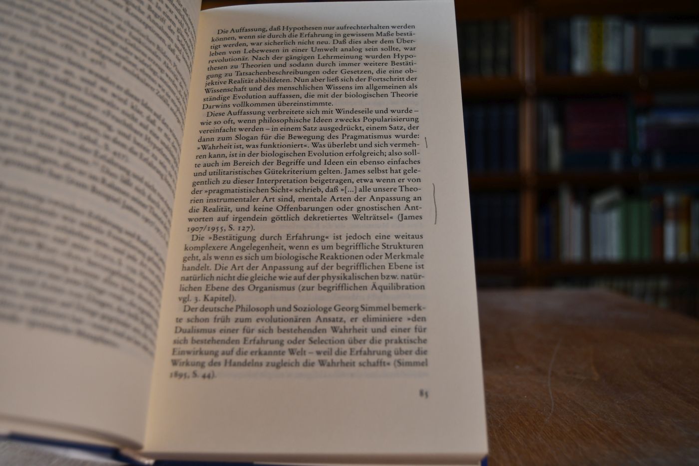 Radikaler Konstruktivismus. Ideen, Ergebnisse, Probleme.
