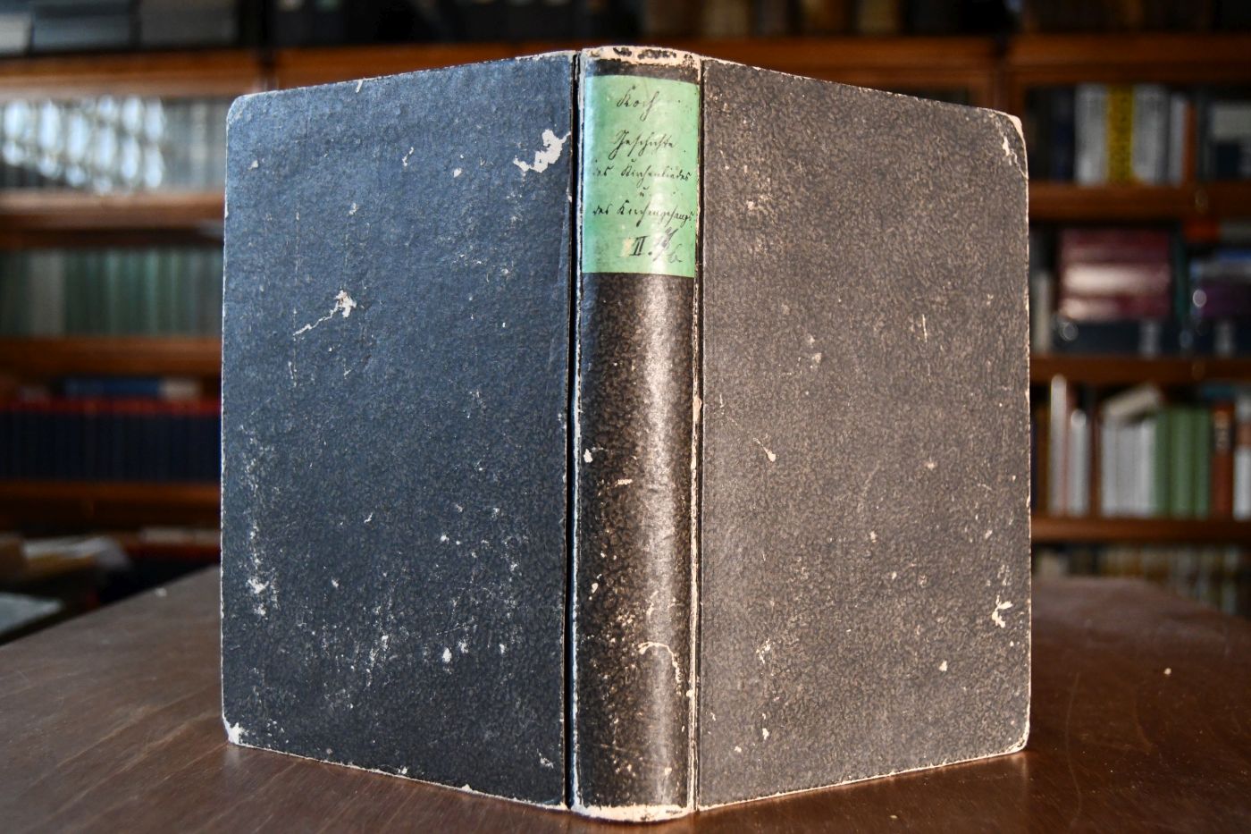 Geschichte des Kirchenlieds und Kirchengesangs der christlichen, insbesondere der deutschen evangelischen Kirche, Erster Haupttheil Die Dichter und Sänger, 2. Band (apart)