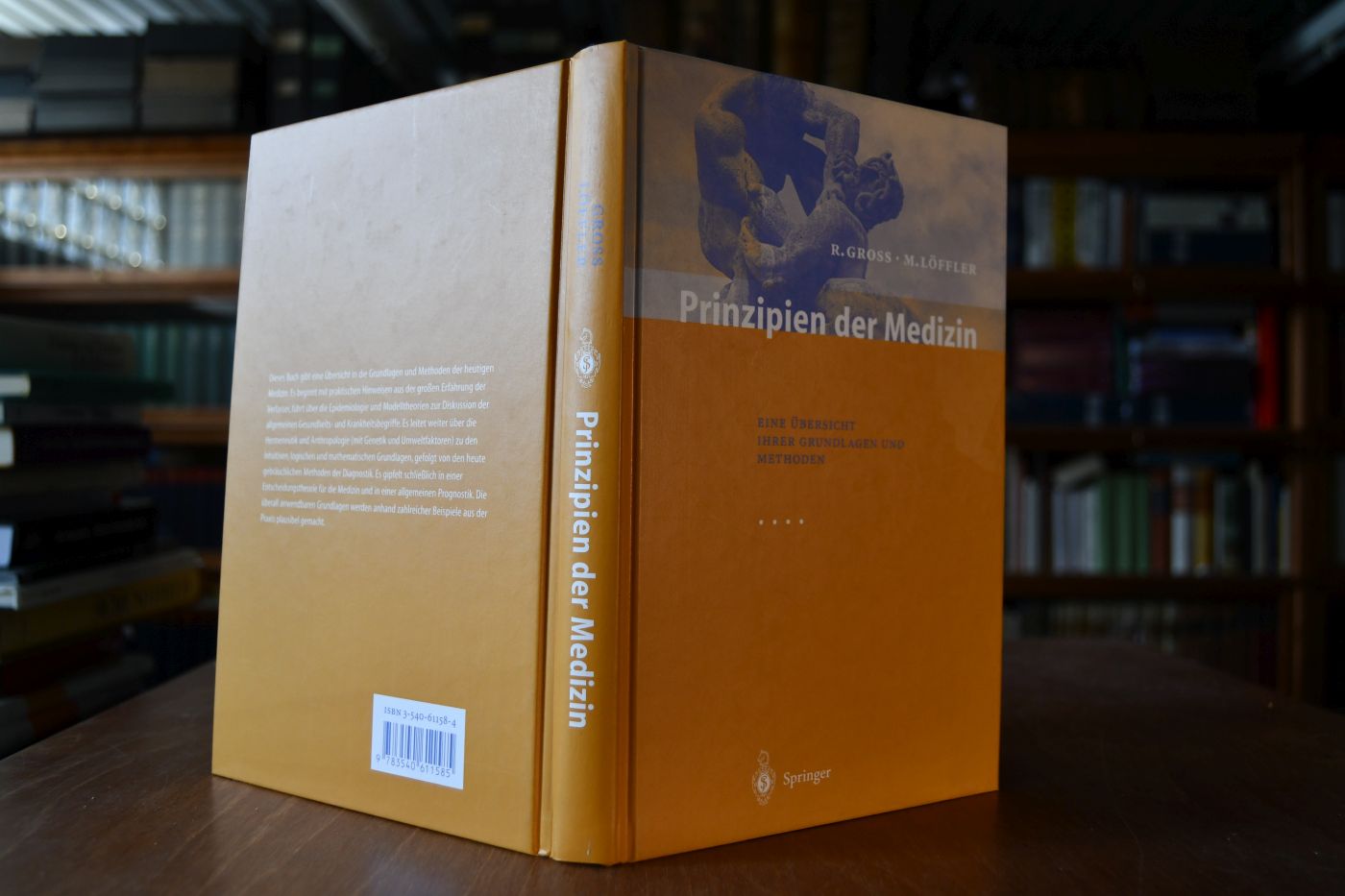 Prinzipien der Medizin. Eine Übersicht ihrer Grundlagen und Methoden mit 36 Tabellen.