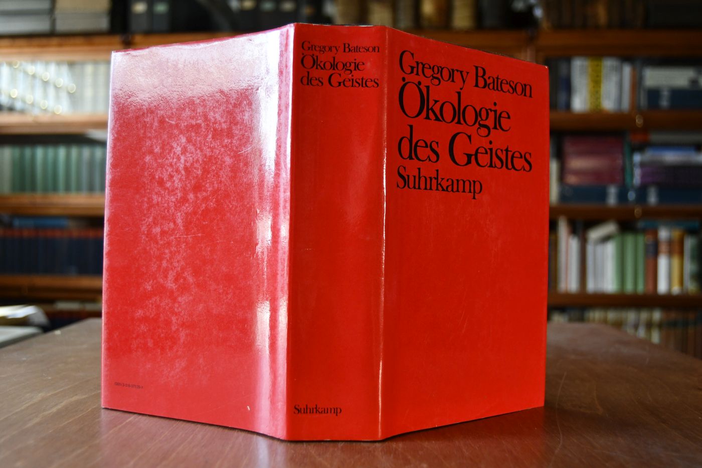 Ökologie des Geistes. Anthropologische, psychologische, biologische und epistemologische Perspektiven.