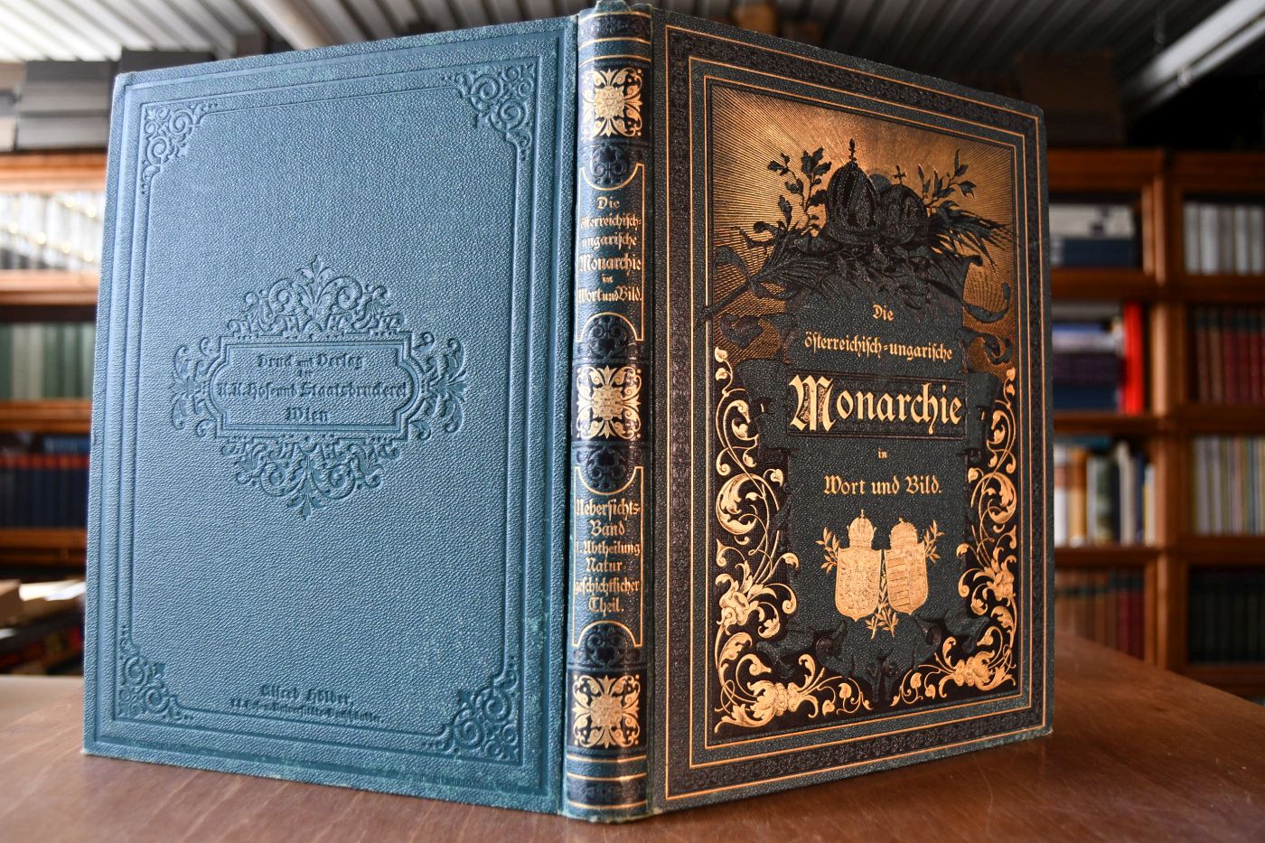 Die österreichisch-ungarische Monarchie in Wort und Bild. Übersichtsband Naturgeschichtlicher Theil (apart).