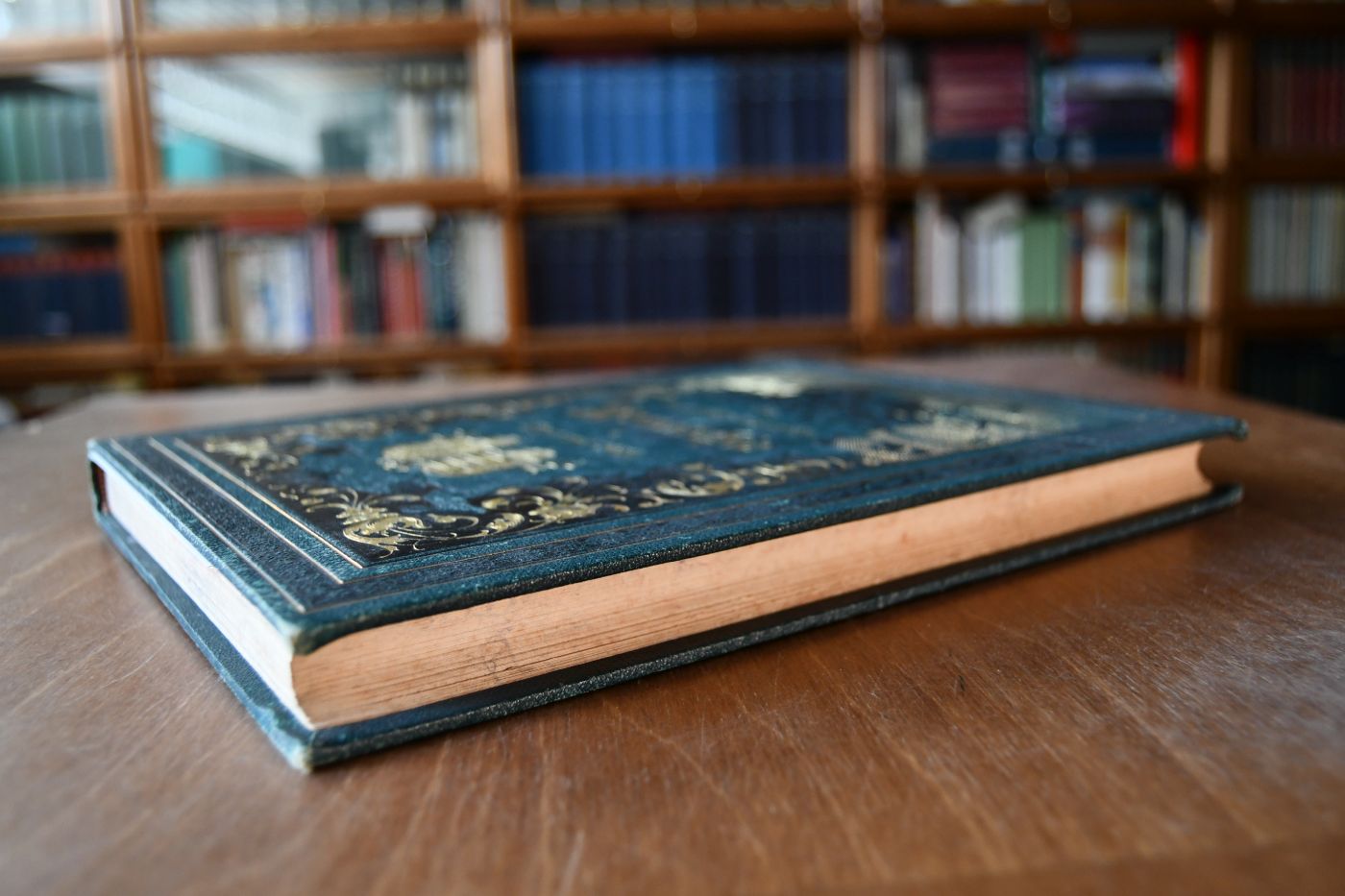 Die österreichisch-ungarische Monarchie in Wort und Bild. Übersichtsband Naturgeschichtlicher Theil (apart).