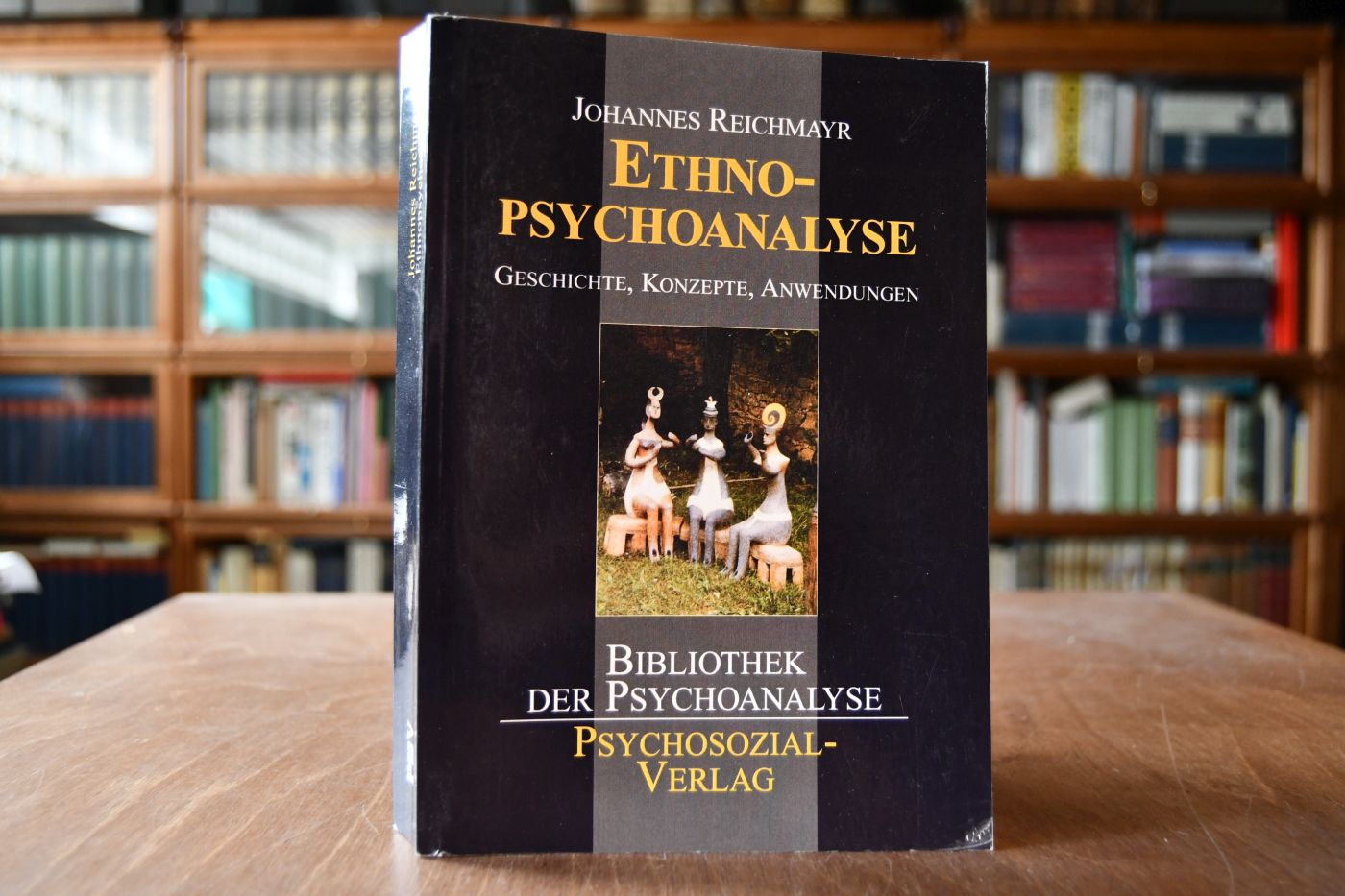 Ethnopsychoanalyse. Geschichte, Konzepte, Anwendungen.