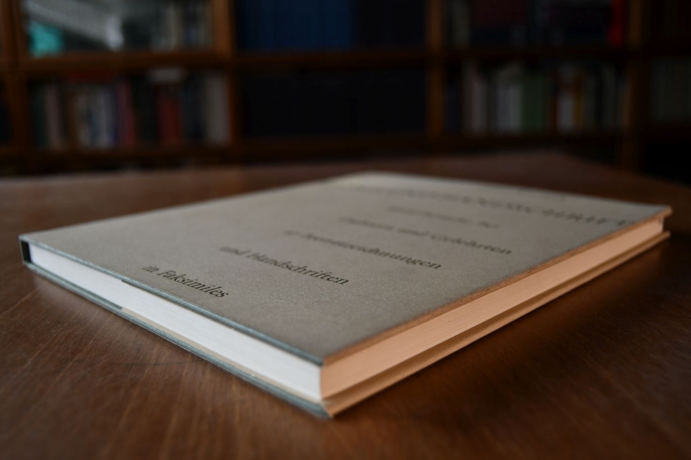 Bildnis und Handschrift. Malerbesuche bei Dichtern und Gelehrten in Südwestdeutschland. 27 Porträtzeichnungen und Handschriften in Faksimiles.