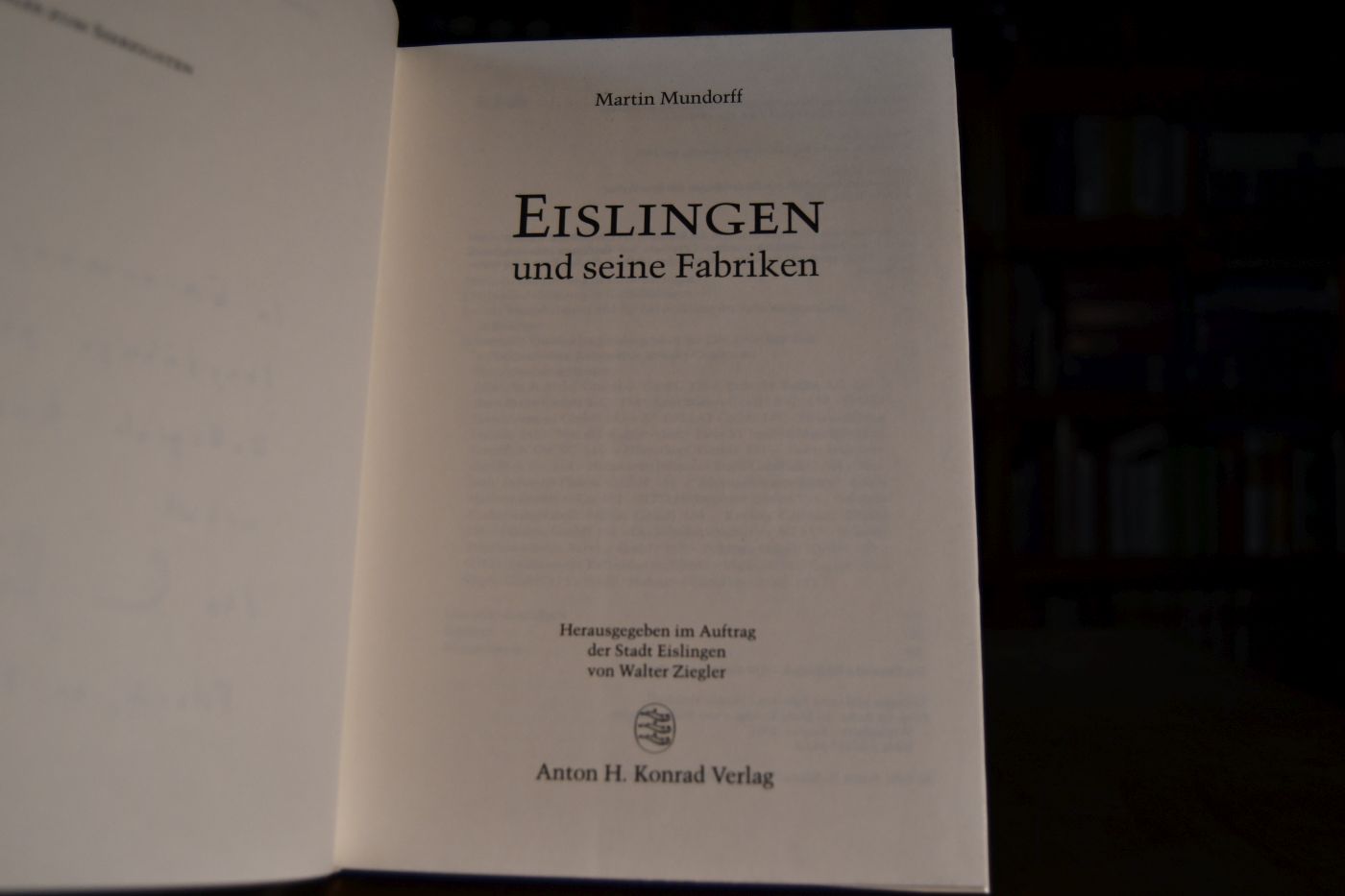 Eislingen und seine Fabriken.