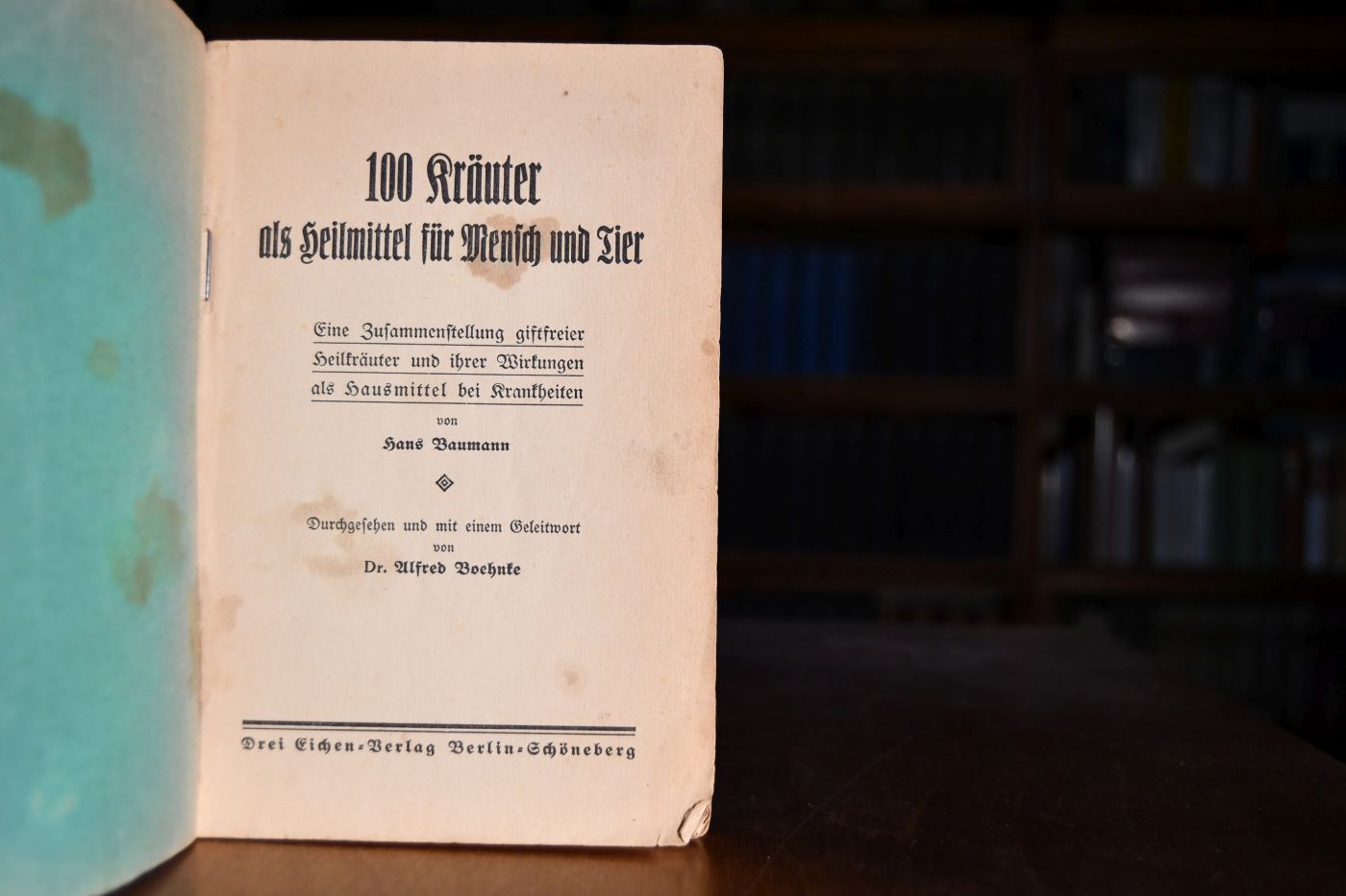 100 Kräuter als Heilmittel für Mensch und Tier. Eine Zusammenstellung giftfreier Heilkräuter und ihrer Wirkungen als Hausmittel bei Krankheiten.