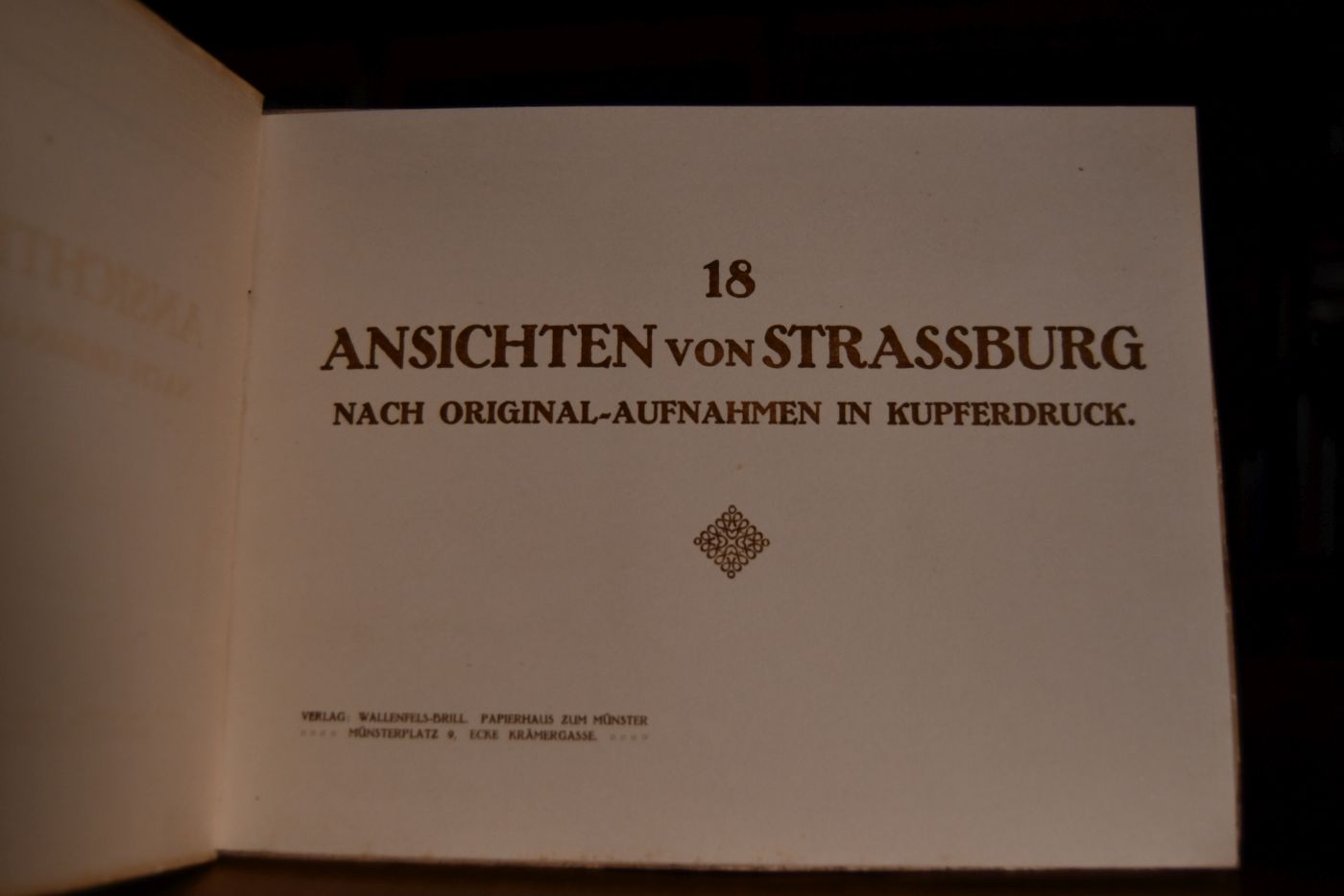 18 Ansichten von Straßburg nach Original-Aufnahmen in Kupferdruck.