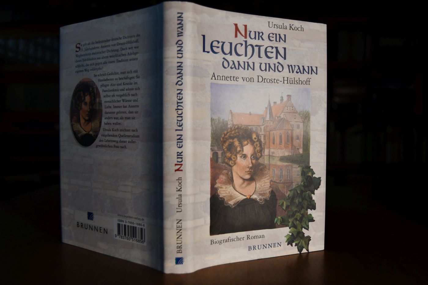 Nur ein Leuchten dann und wann. Annette von Droste-Hülshoff. Biografischer Roman.