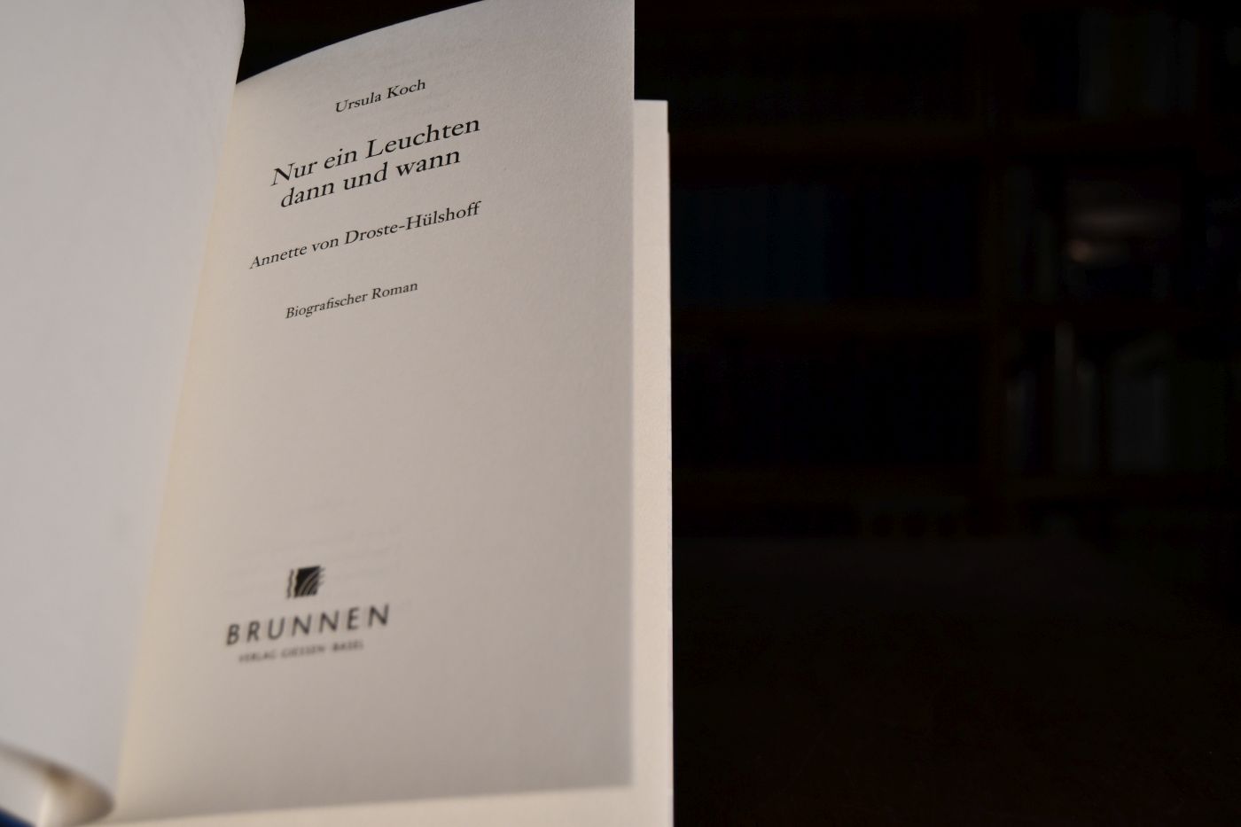 Nur ein Leuchten dann und wann. Annette von Droste-Hülshoff. Biografischer Roman.