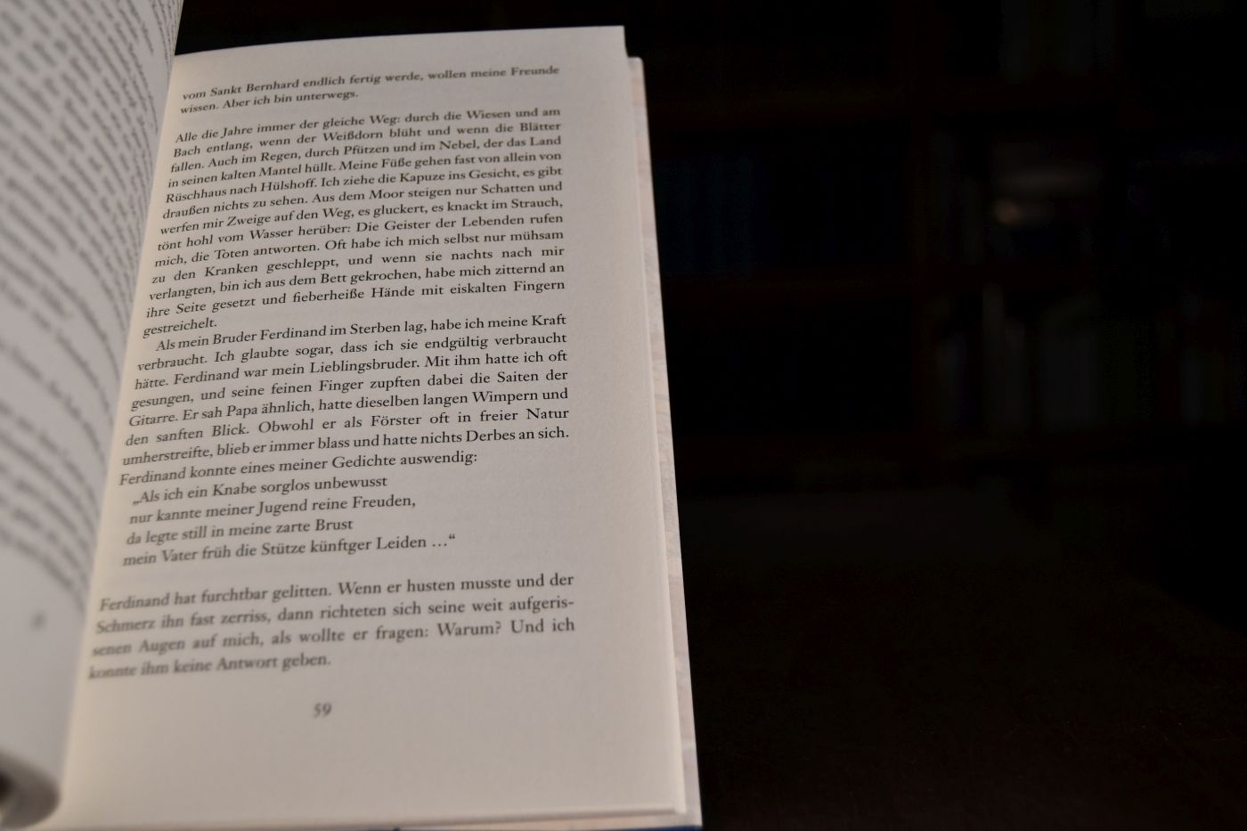 Nur ein Leuchten dann und wann. Annette von Droste-Hülshoff. Biografischer Roman.