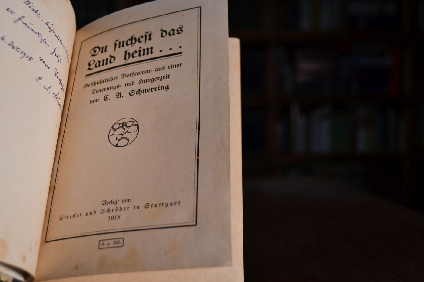 Du suchst das Land heim ... Geschichtlicher Dorfroman aus einer Teuerungs- und Hungerzeit.