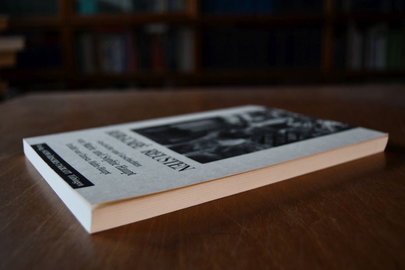 Bergcafé Reusten. Geschichte und Geschichten von Marie und Sophie Haupt. Erzählt von Christa Hahn-Haupt.
