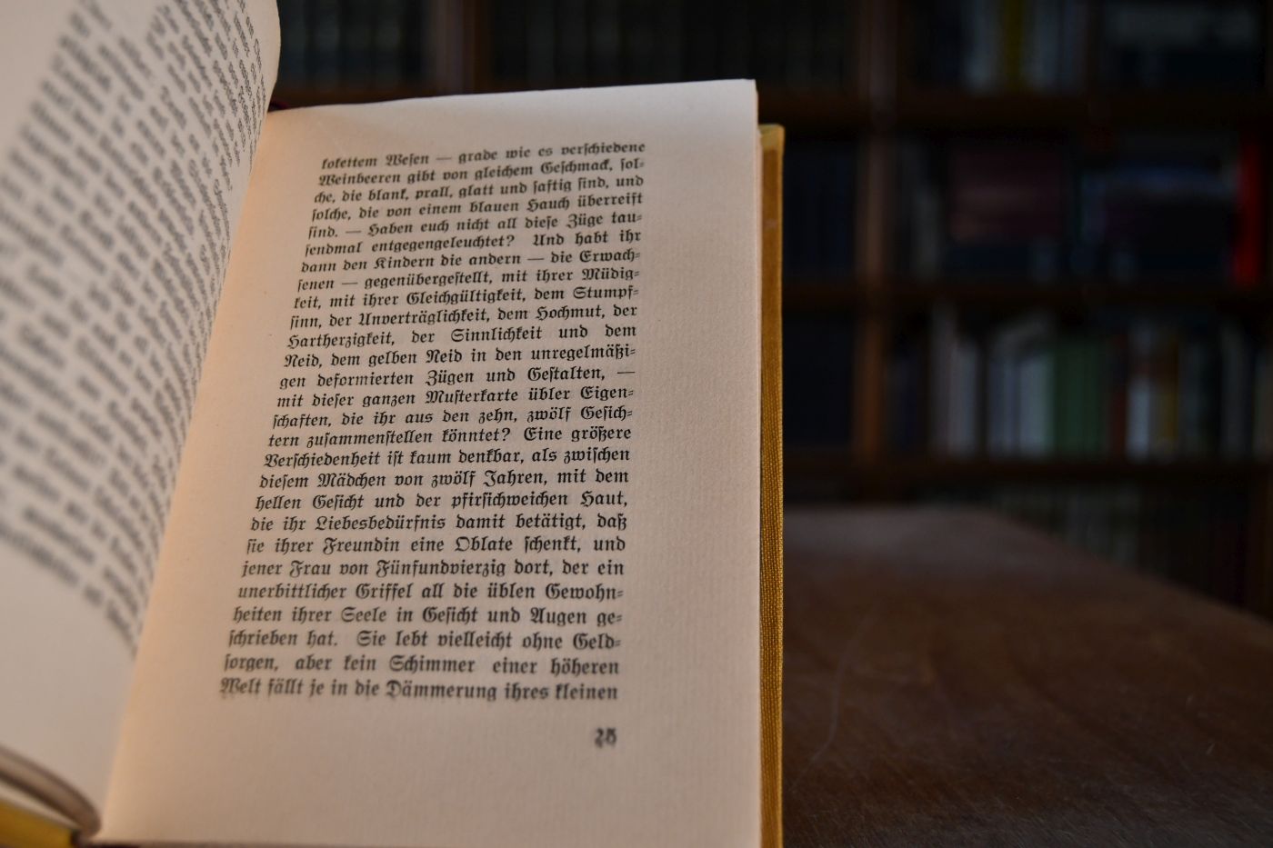 Sehnsucht. Ernste Plaudereien.