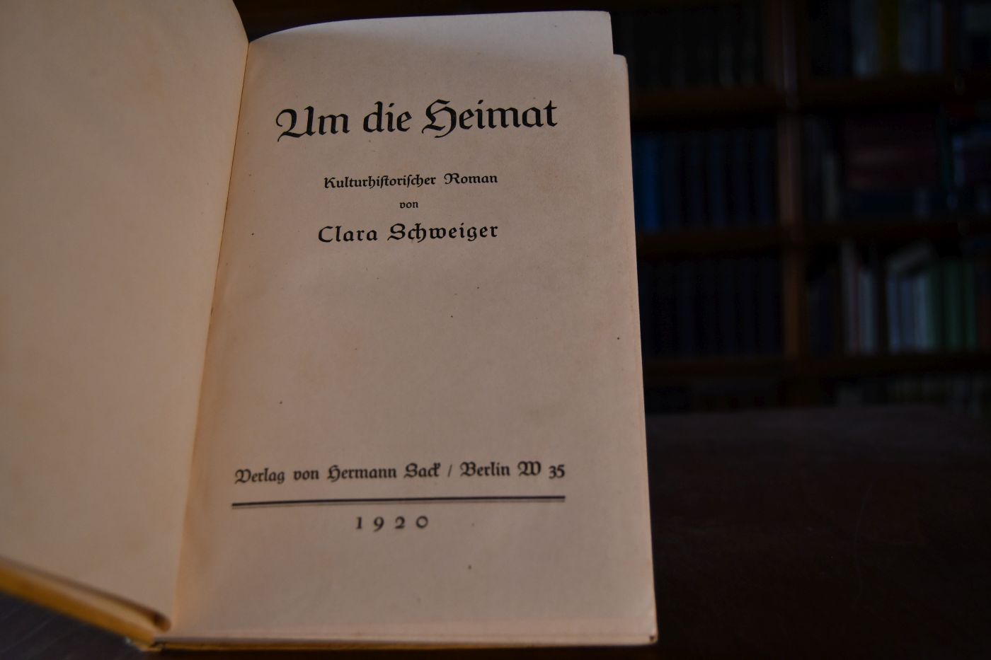 Um die Heimat. Kulturhistorischer Roman.