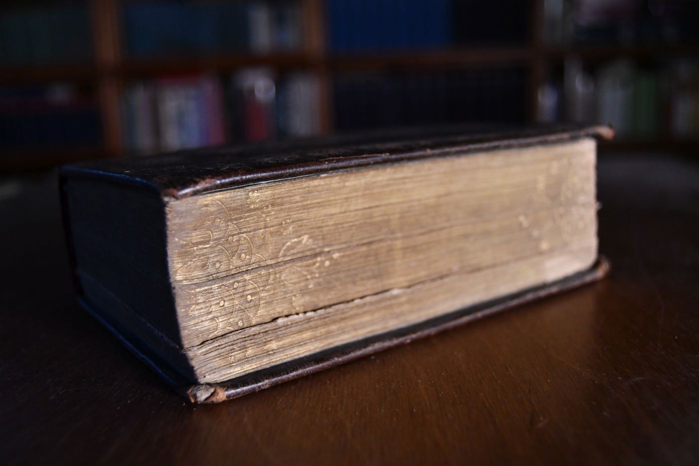 Die Bibel, oder die ganze Heilige Schrift des alten und neuen Testaments, nach der deutschen Uebersetzung Martin Luthers.