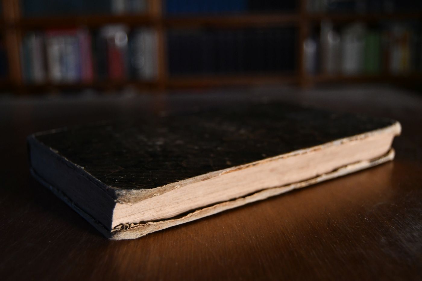 Spiegel edler Pfarrfrauen. Eine Sammlung christlicher Charakterbilder. Als Seitenstück zur "Pastoral-Theologie in Beispielen" herausgegeben.