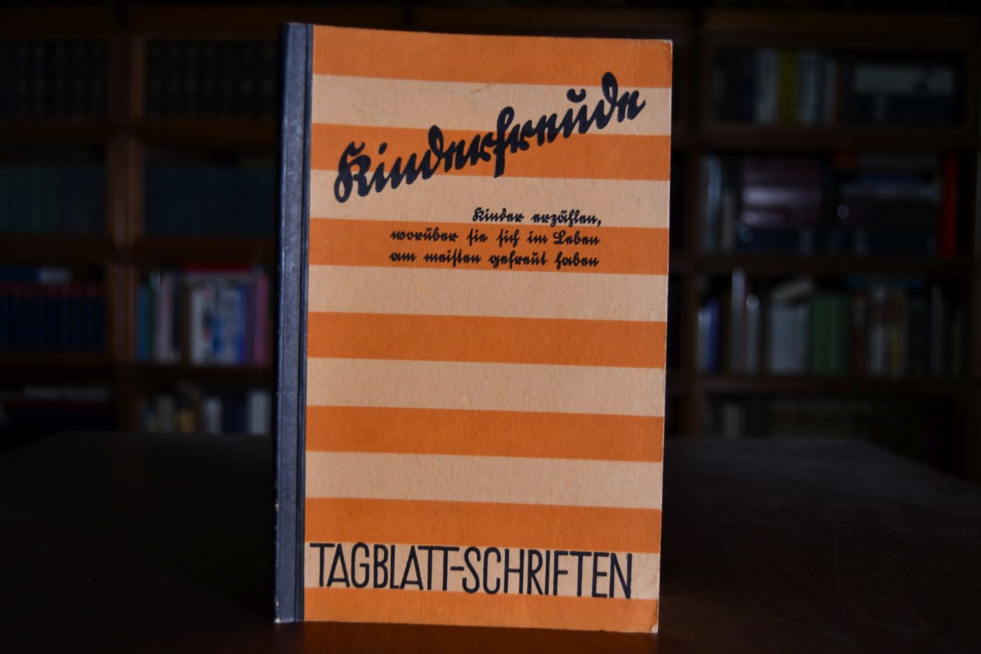 Kinderfreude. Kinder erzählen, worüber sie sich im Leben am meisten gefreut haben.
