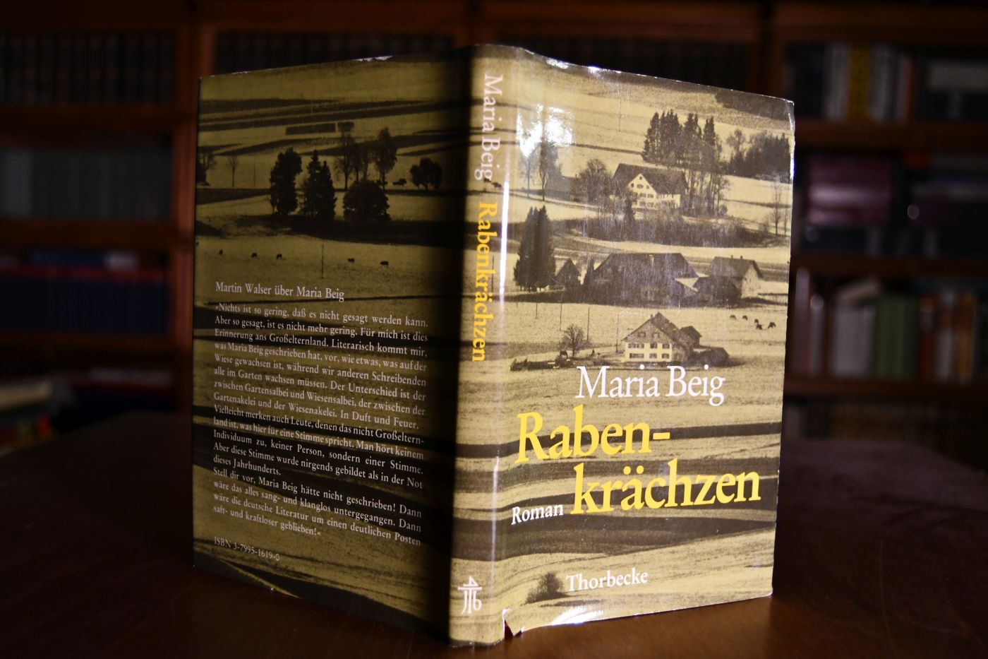 Rabenkrächzen. Eine Chronik aus Oberschwaben. Roman.
