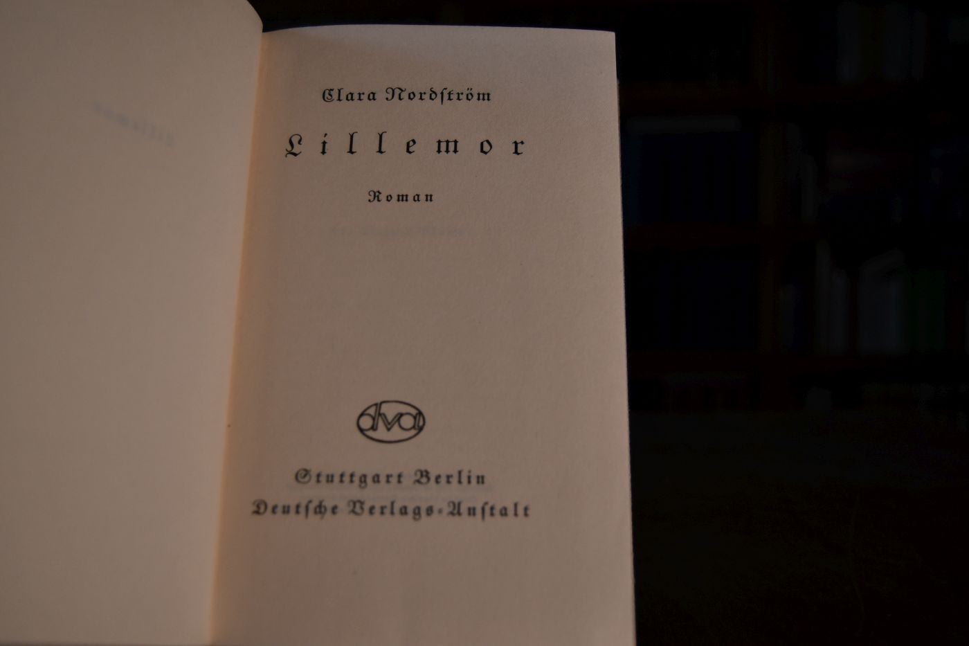 Lillemor. Roman.