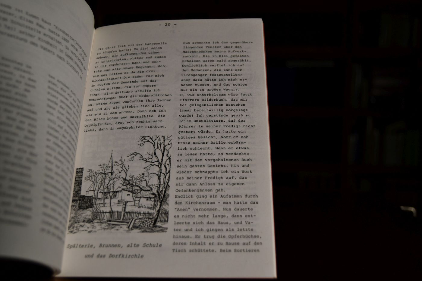Blumendorf Gammelshausen Landkreis Göppingen. Festschrift für den Ehrenbürger Eugen Rau aus Anlaß seines 90. Geburtstags am 27. Juni 1985.