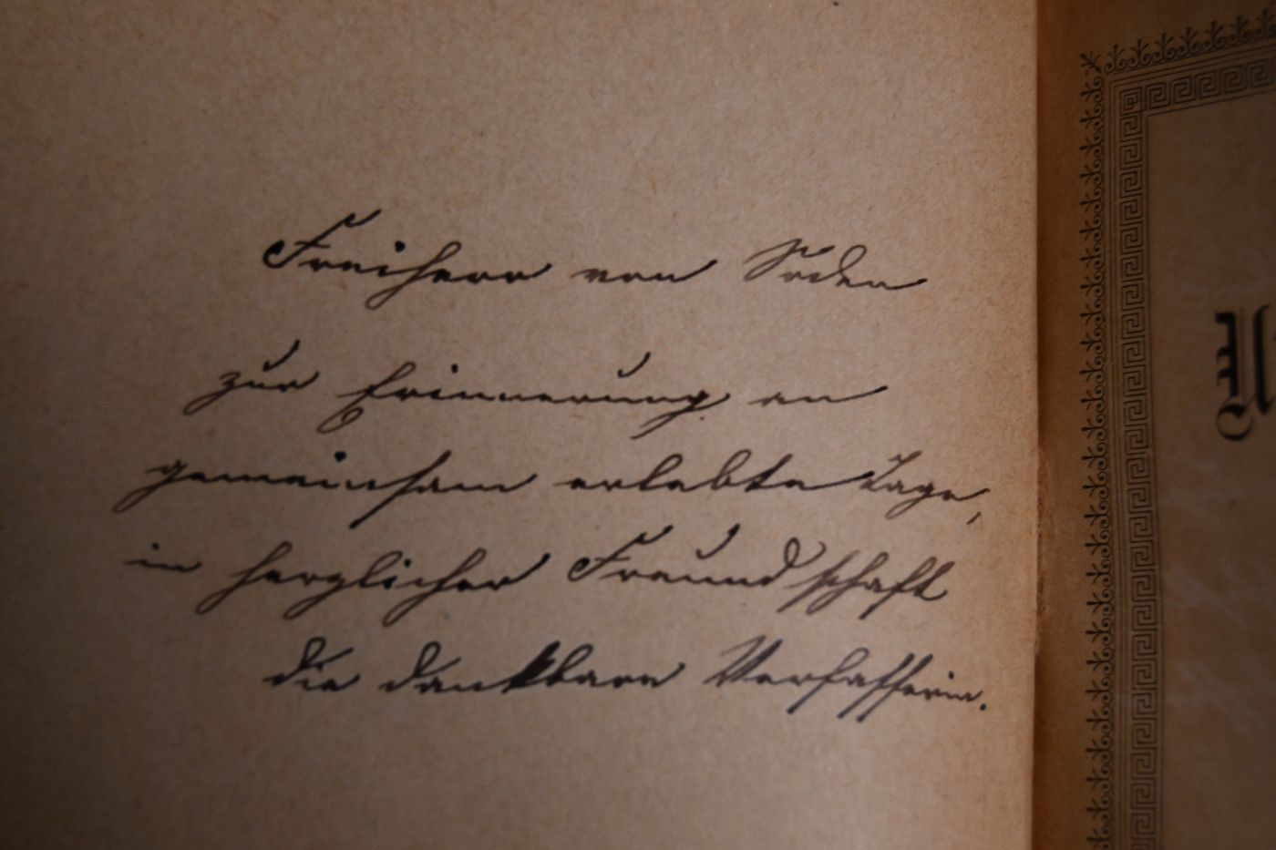 Unter den Verwundeten 1870-1871. AUfzeichnungen aus einer großen Zeit.
