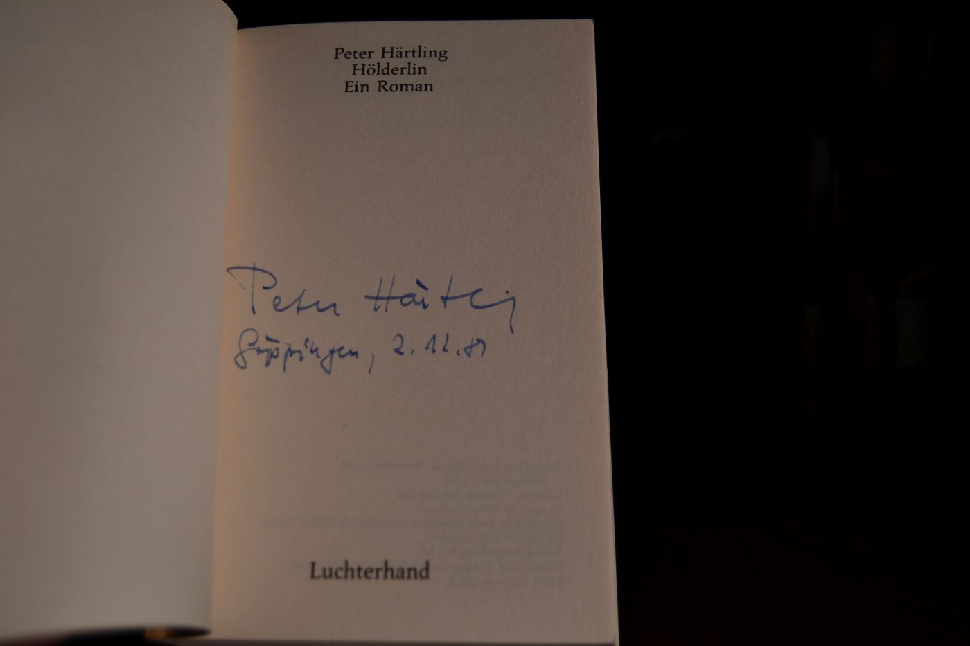 Hölderlin Ein Roman.