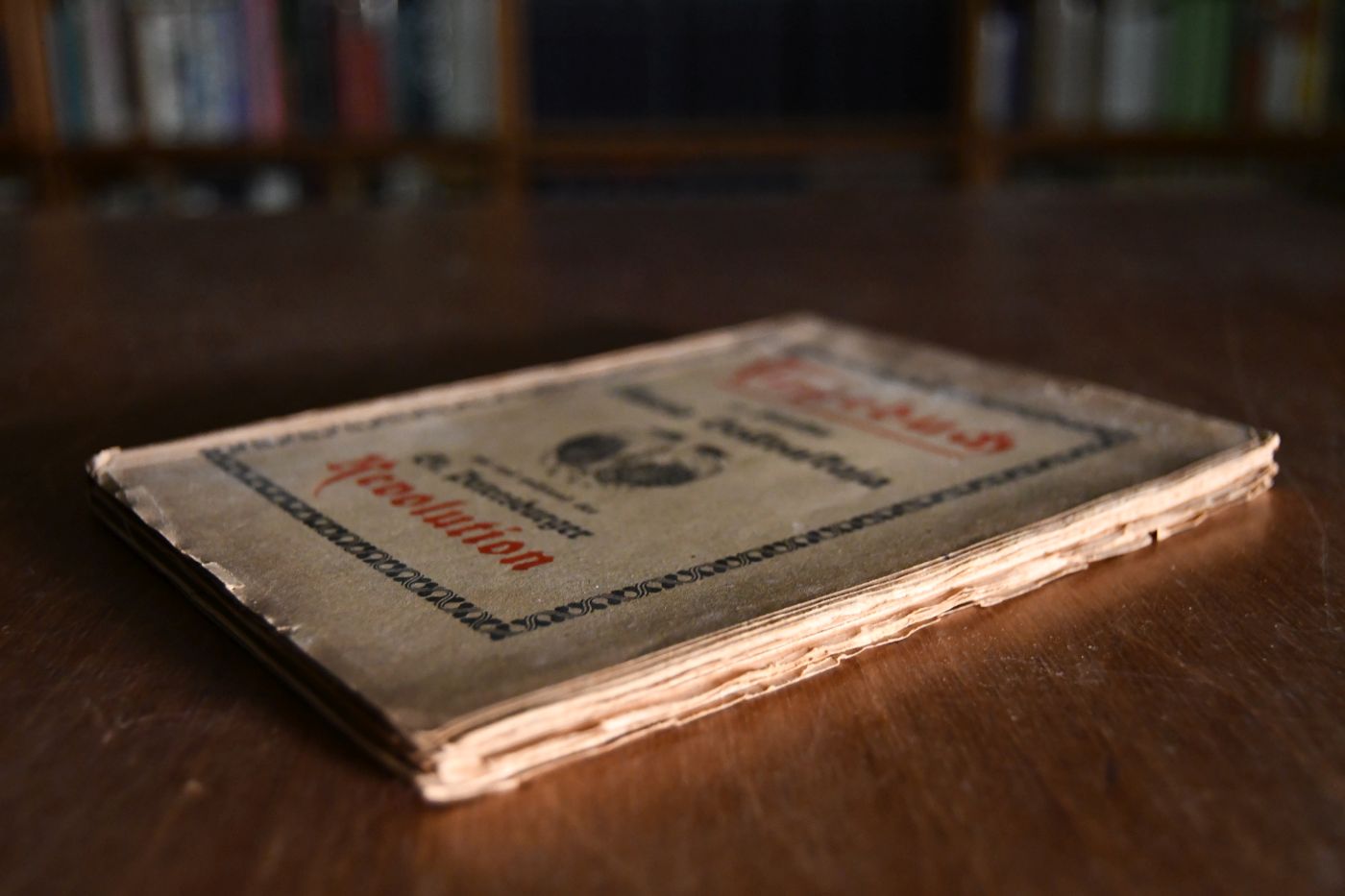Tagebuch der Fürstin Maria Bolkonskaja vor und während der St. Petersburger Revolution.